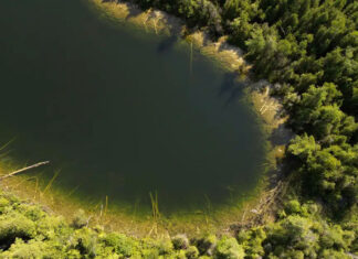Científicos: El Antropoceno, la época marcada por el impacto humano, comenzó en la década de 1950