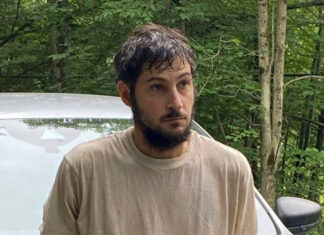 Couple checking out barking dog leads to encounter with escapee, his recapture
