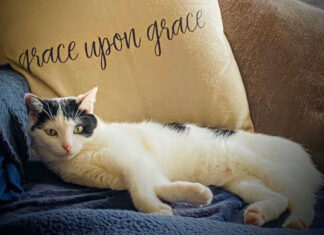 The Woman at the Well