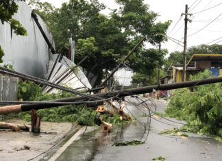 Un tornado provoca caídas de árboles y del tendido eléctrico en el noroeste de Puerto Rico