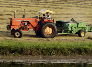 Latinos enfrentan el calor en medio de mayores desafíos