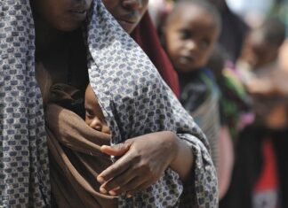 250 millones de personas sufrieron inseguridad alimentaria en 2022