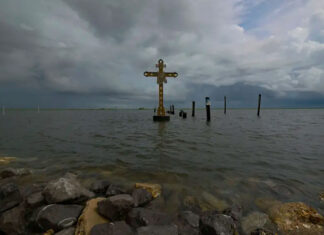 Estudio halla más muertes por huracanes en EE. UU., especialmente entre los pobres y vulnerables