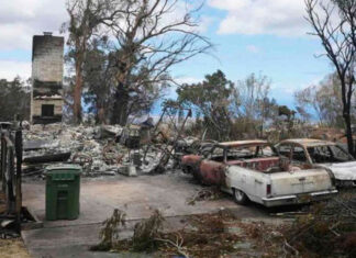 Hawai trabaja para identificar a los 99 muertos de los incendios mientras busca entre las ruinas