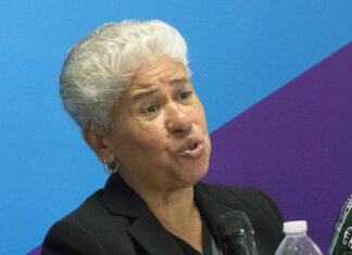 Lanzan red nacional de voluntarios para celebrar la cultura hispana en Estados Unidos