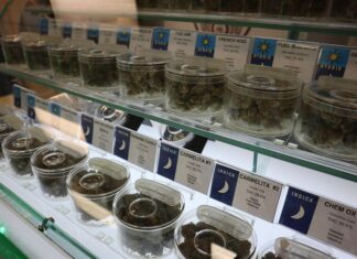 Los adultos mayores de 65 años: la nueva cara de la marihuana en Estados Unidos