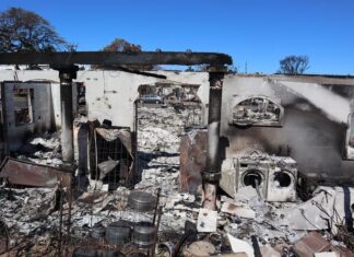 El difícil camino a la recuperación de la comunidad latina de Maui tras los incendios