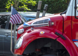 Investigación halla evidencias de que la lepra se ha vuelto endémica en el sureste de EE. UU.