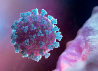 ¿Qué se sabe de las nuevas variantes de coronavirus que están bajo vigilancia en las Américas?