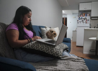 Las mascotas son nuestras compañeras fieles, pero los costos de sus cuidados se pueden acumular