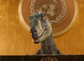 Cinco momentos que hicieron historia en la Asamblea General de la ONU