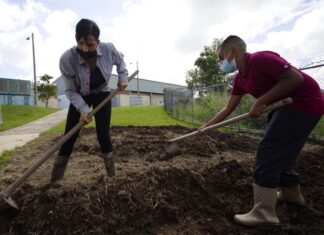 Congresista Thompson evalúa acceso de Puerto Rico a programa federal de ayuda alimentaria