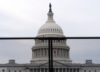 15 de septiembre, Día Internacional de la Democracia