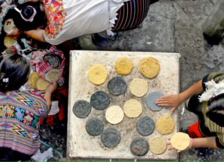 ¿Ha aprovechado Centroamérica el Tratado de Libre Comercio con EE. UU.?