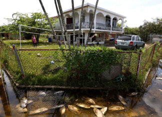 Han otorgado 646 millones de dólares en ayudas tras un año de huracán Fiona en Puerto Rico