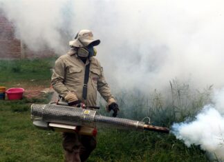 Hay dengue en toda República Dominicana y se cierne «un gran brote», alertan los médicos