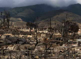 Lo que debe saber sobre el seguro para inquilinos en EE. UU., y qué cubre y que no