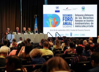 Defensores ambientales de Latinoamérica piden mayor protección ante la violencia regional