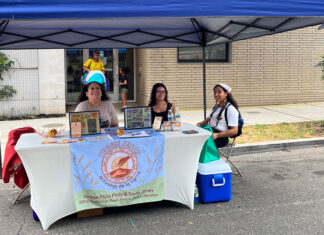 «Unidad en la Diversidad»: Celebrando la Fortaleza de la Comunidad Latina en La Feria del Barrio