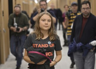 Tribunal sueco vuelve a multar a Greta Thunberg por desobediencia