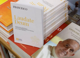 Ante la crisis climática el Papa insta a líderes globales a actuar antes de que sea demasiado tarde