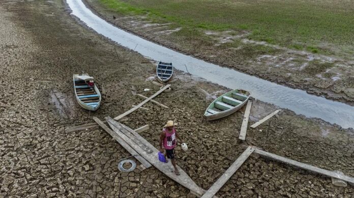 Organizaciones acusan a EE.UU. de servir como guarida fiscal de delincuentes ambientales