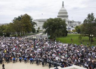 Una protesta dentro y fuera del Capitolio de EE. UU. pide el alto el fuego en Gaza