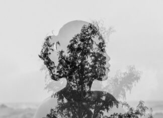 ¿Sabes si eres parte de la cultura de la violencia?