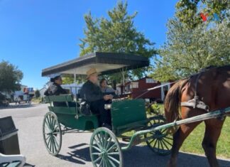 Prosperidad sin lujos: ¿Quiénes son y cómo viven los Amish de Pensilvania?