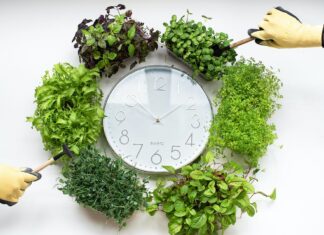 Change Your Batteries, Change Your Clocks This Weekend