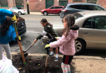 Cultivando un Hunting Park más fresco y fuerte