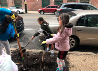 Cultivando un Hunting Park más fresco y fuerte