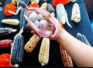 «Nichos» de México a Filadelfia