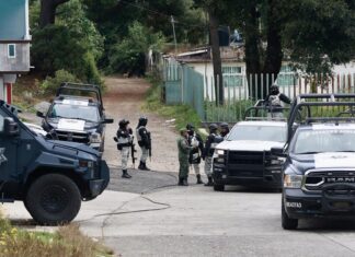 En 2023 se cometieron 427 ‘masacres’ en México, según ONG