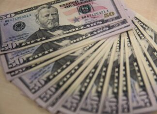 El perro de una pareja de Pensilvania se comió 4.000 dólares