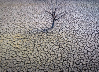 El 2023 fue el año más caluroso en la historia del planeta año caluroso