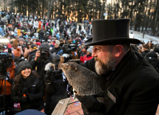 Groundhog Day’s biggest star is Phil, but the holiday’s deep roots extend well beyond Punxsutawney Phil