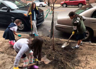 Girls Scouts invitan a plantar más árboles en Filadelfia árboles
