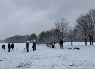 Tormenta de nieve deja un intenso frío y causa muertes y accidentes en EE. UU. nieve
