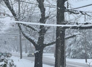 Los demócratas buscan fortalecer la mayoría en la Cámara de Pensilvania en medio de una nevada en el condado Bucks