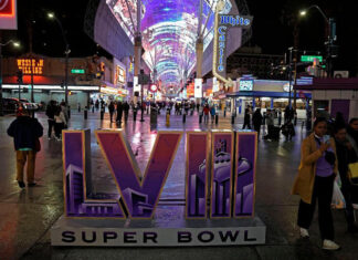 The game. The ads. The music. The puppies. Here’s why millions are excited for Super Bowl Sunday game