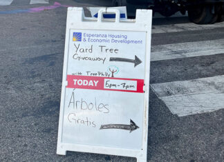 Community embraces opportunities for a greener tomorrow in Philadelphia