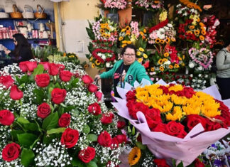 Hasta que la política nos separe: ¿Puede triunfar el amor sobre la polarización? amor