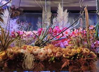 PA Horticultural Society Named on Fast Company’s “World’s Most Innovative Companies of 2024” horticultural