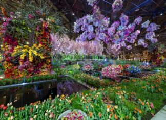 Lo que no deberías perderte en el «Philadelphia Flower Show 2024» Flower Show
