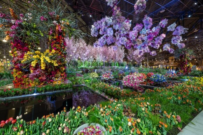 WhatsApp Image 2024-03-05 at 20.24.45 (1) Flower Show