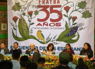 Activistas denuncian crisis de derechos humanos en pueblos originarios del sur de México Activistas