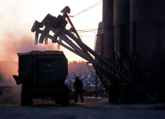 How immigrant workers in US have helped boost job growth and stave off a recession immigrant