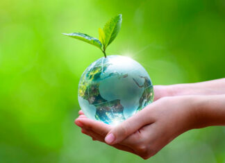 Resumen de acciones del Día de la Tierra Día de la Tierra