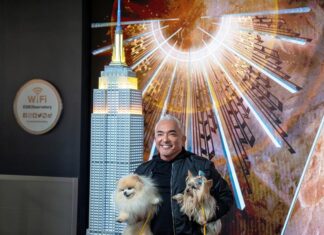 César Millán cree que el ser humano debe aprender de la lealtad y el amor de los perros perros